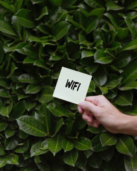 Pomiary sieci Wi-Fi – klucz do optymalnej wydajności